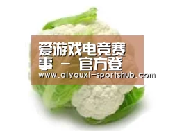 产品名称九
