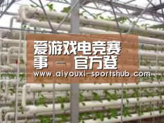 环境展示六