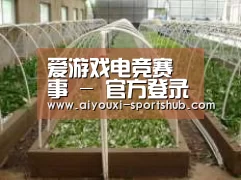 环境展示五