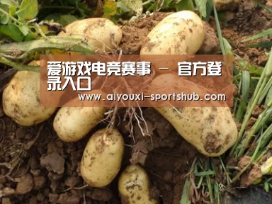 种植基地六