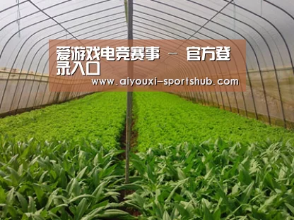 种植基地四