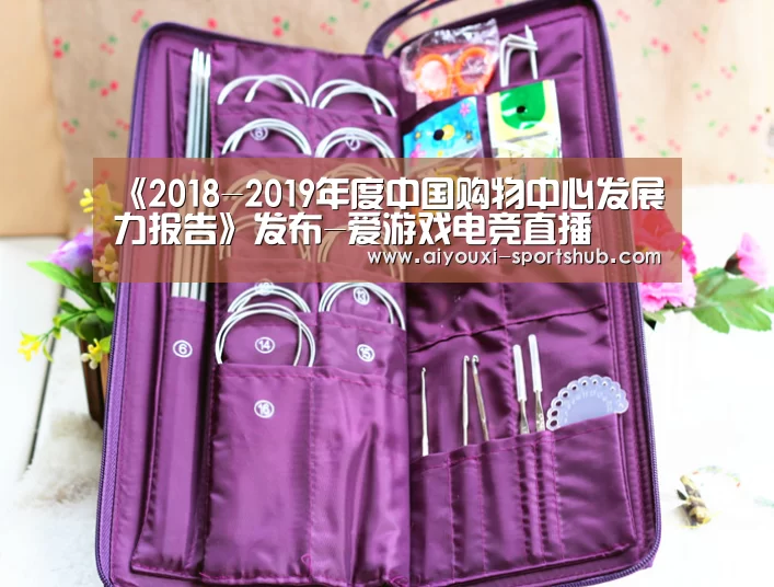 《2018-2019年度中国购物中心发展力报告》发布-爱游戏电竞直播(图1) 爱游戏电竞娱乐平台